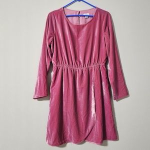 NWT J. Crew Velvet Dress
